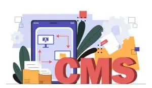 content management systems